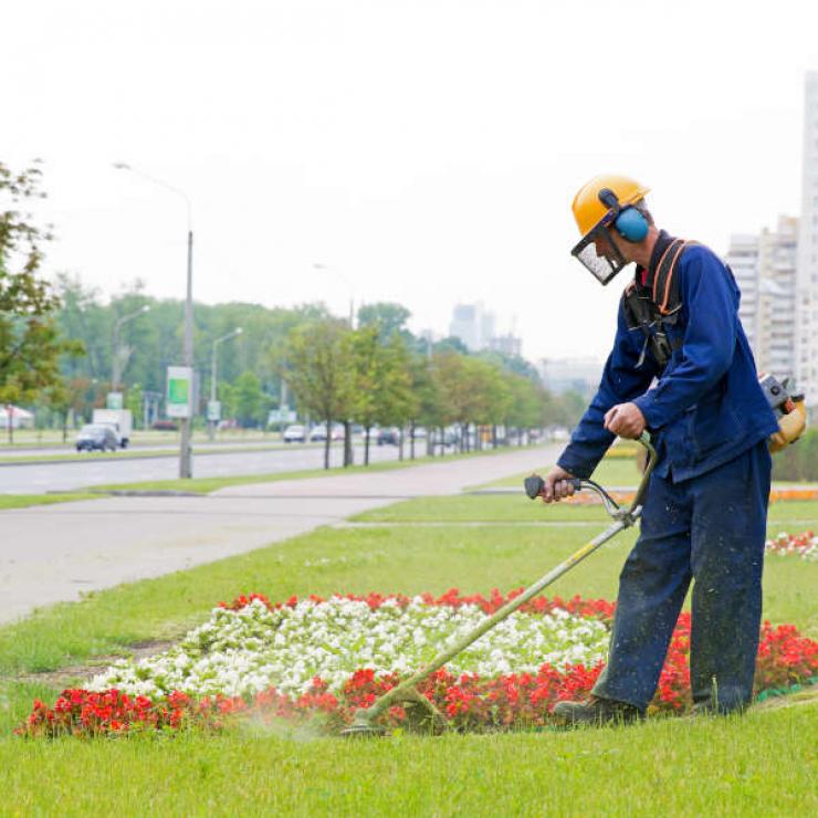 Entretien espaces verts Albert